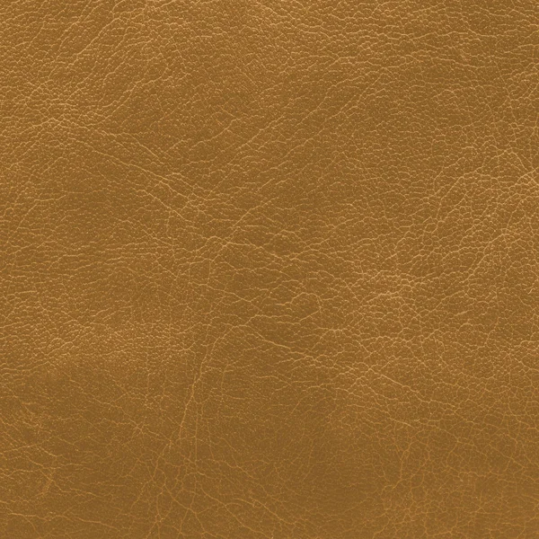 altın deri doku tasarım çalışmaları için arka plan olarak