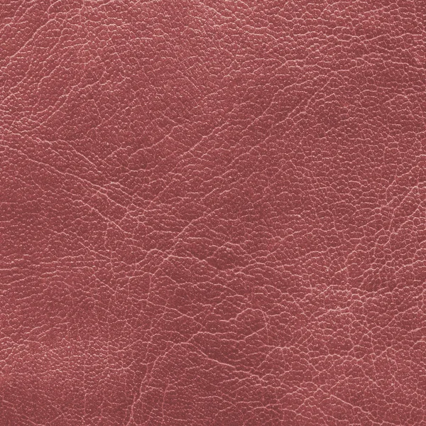 Red leather texture as background for design-works — Stock Photo, Image