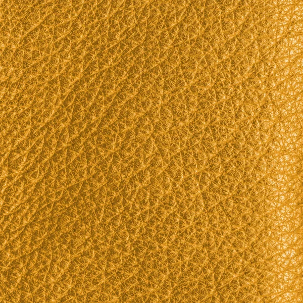 Sarı deri dokusu — Stok fotoğraf
