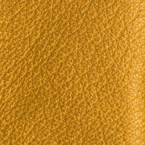 Gul läder texture — Stockfoto