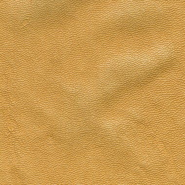 Sarı buruşuk deri doku portre 