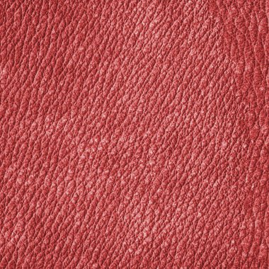 kırmızı deri doku. Arka planı için kullanılan