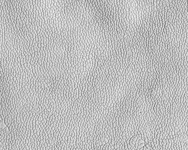 Witte verfrommeld kunstleren textuur closeup — Stockfoto