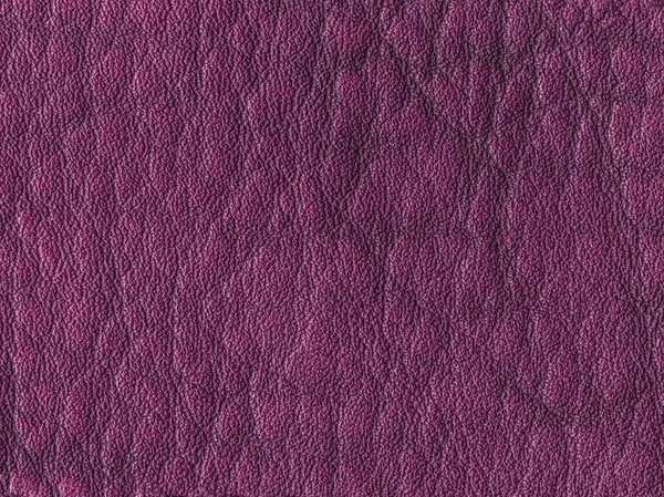Background of dark violet leather closeup — Stock Photo, Image