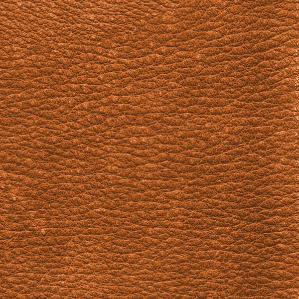 Yellowish-brown leather texture — Stock Photo, Image