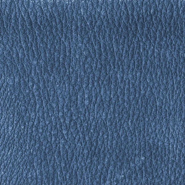Blauw leder texture. Kan worden gebruikt voor de achtergrond — Stockfoto