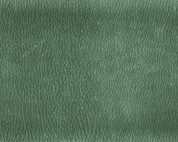 Texture de cuir vert. Peut être utilisé pour le fond — Photo