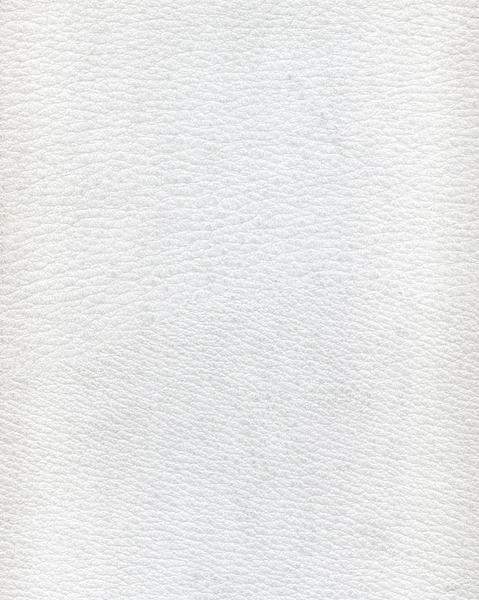 Textura de couro branco. Pode ser usado para fundo — Fotografia de Stock