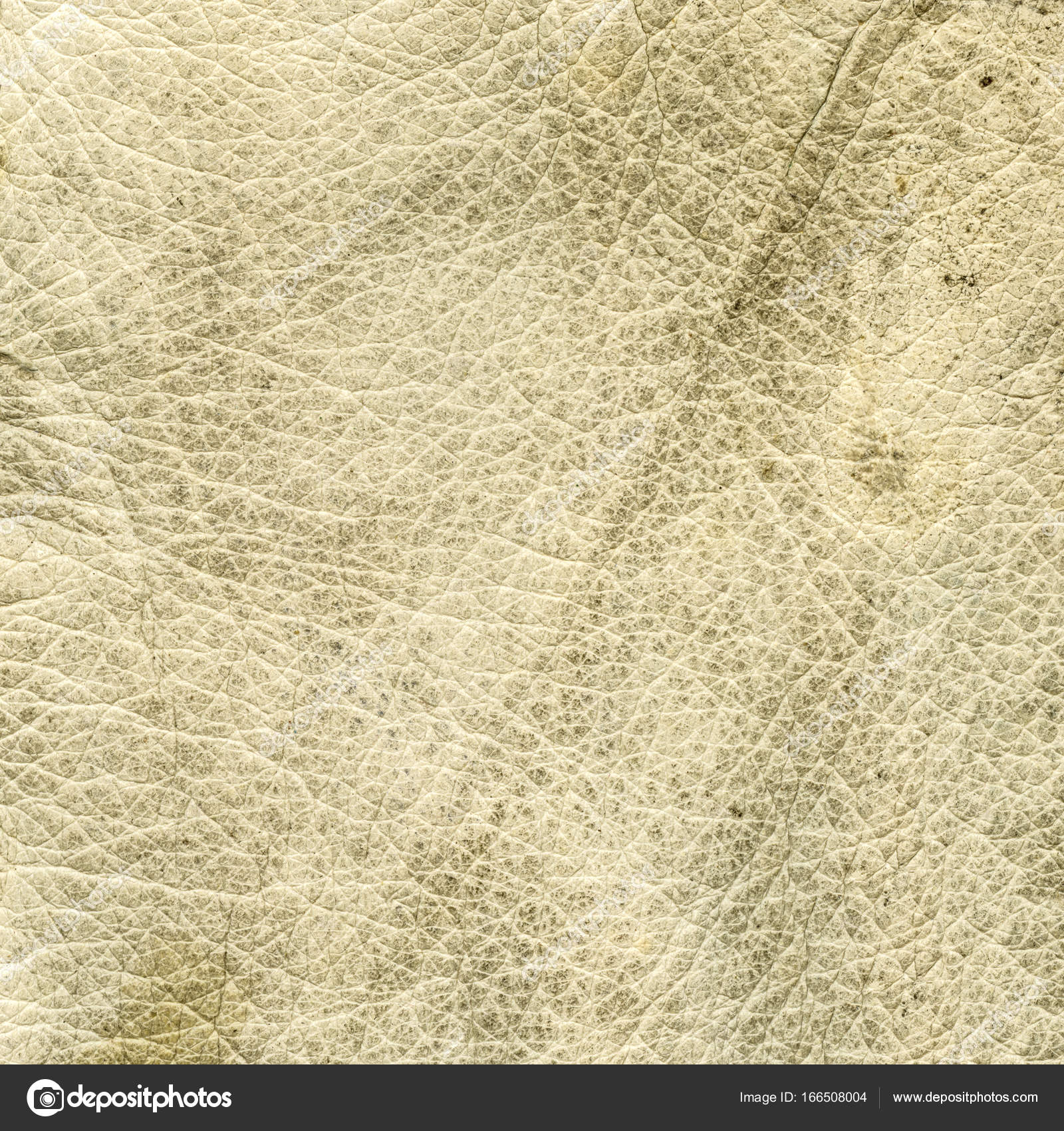 High detailed old,dirty and worn light beige leather texture — Stock Photo  © natalt #166508004, image size:1600x1700