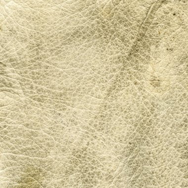 yüksek Detaylı eski, kirli ve yıpranmış ışık bej deri doku 