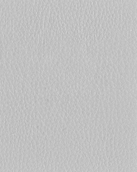 ışık gri suni deri doku portre