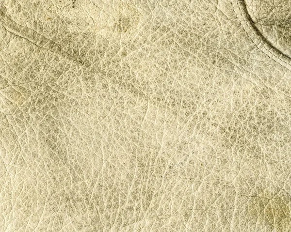 eski parça ve kirli bej Bayan deri ceket