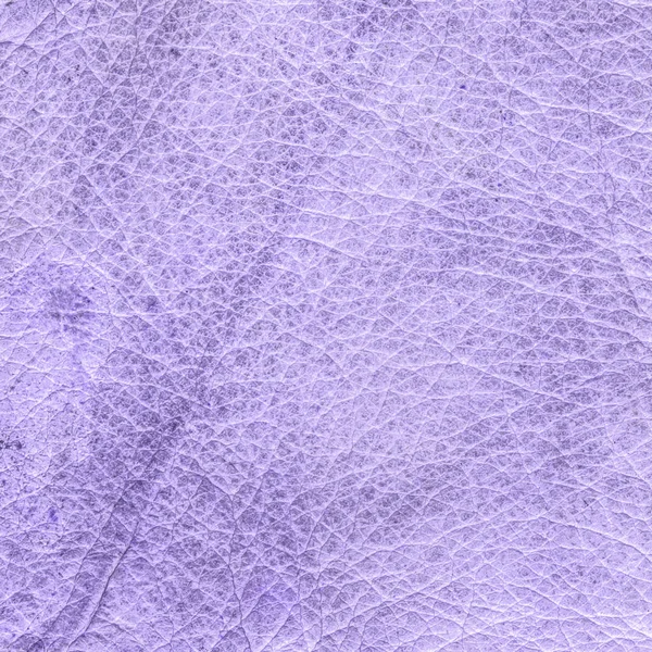 Peint violet vieux fond en cuir — Photo