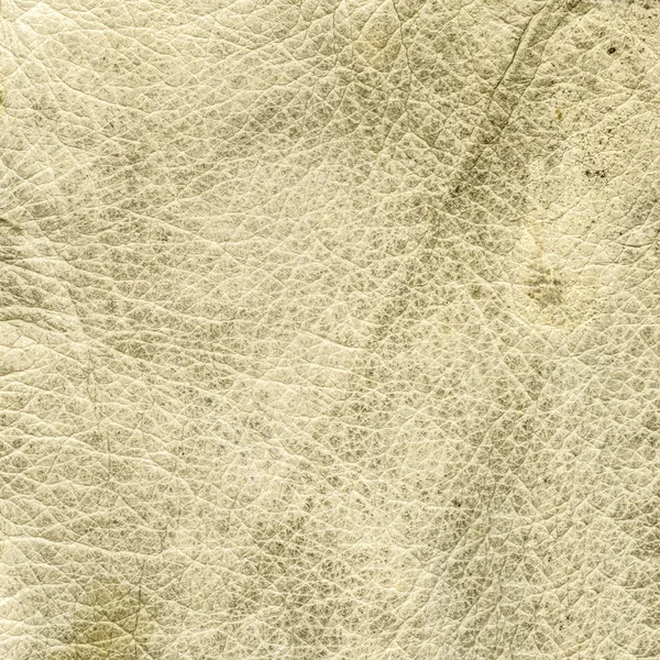 High detailed old,dirty and worn light beige leather texture — Stock Photo, Image