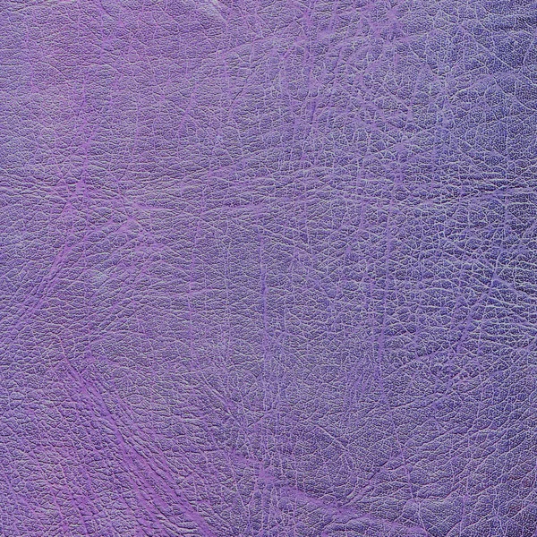 Textura de couro violeta de alta qualidade — Fotografia de Stock