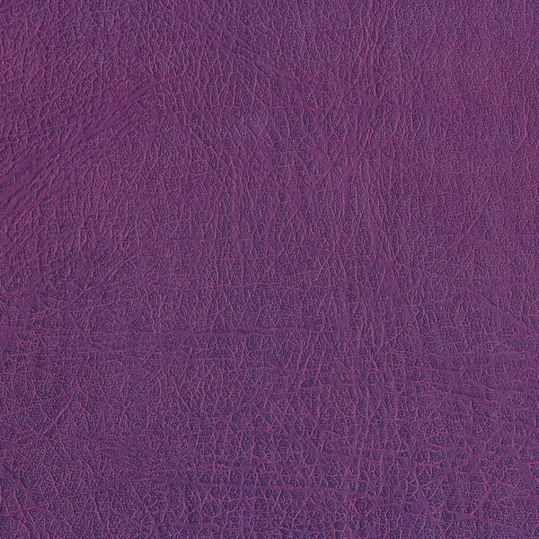 Texture in similpelle viola scuro di alta qualità — Foto Stock