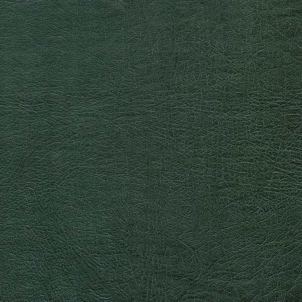 Textura de cuero verde oscuro de alta calidad — Foto de Stock