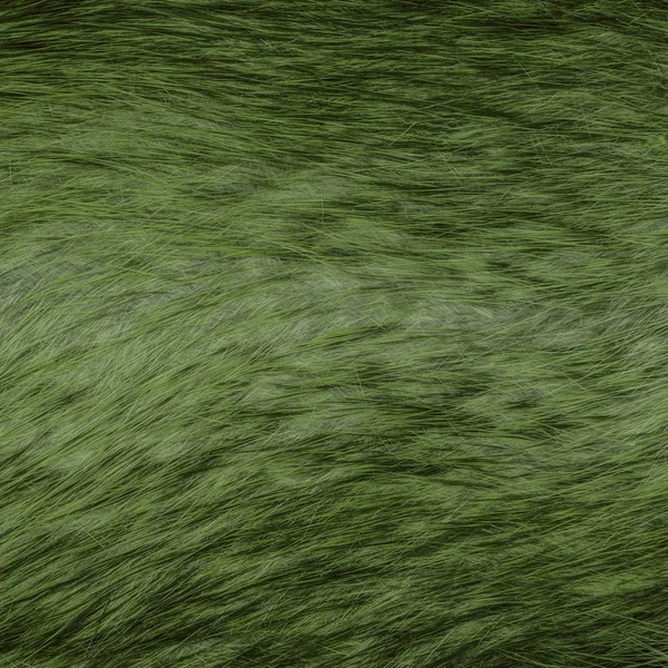 Пофарбована зелена текстура хутра лисиці як фон . — стокове фото