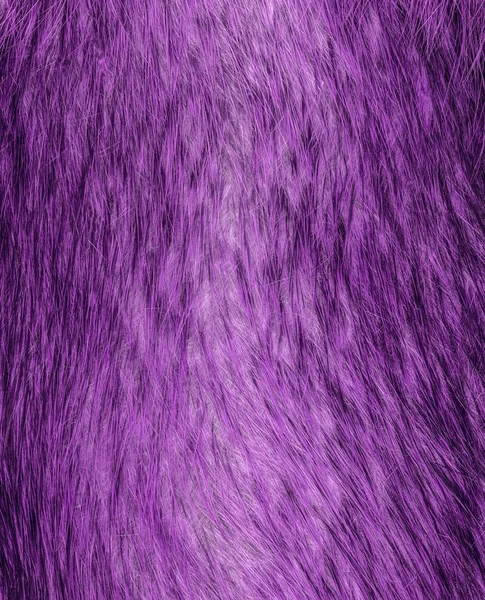 Pintado violeta raposa pele textura como fundo — Fotografia de Stock
