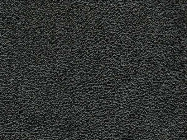 Haute texture en cuir noir détaillé, utile pour le fond — Photo
