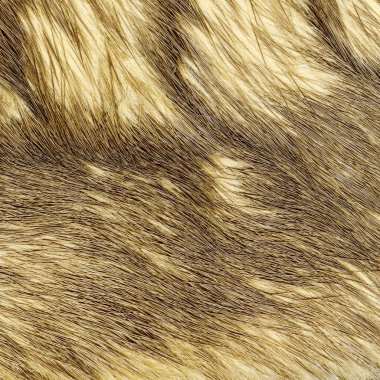  arka plan olarak bej kürk doku