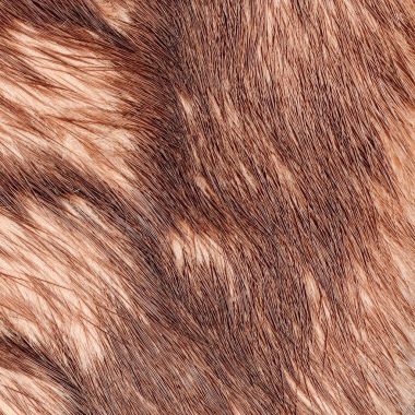 Kızıl tilki kürk doku, arka plan için faydalı 