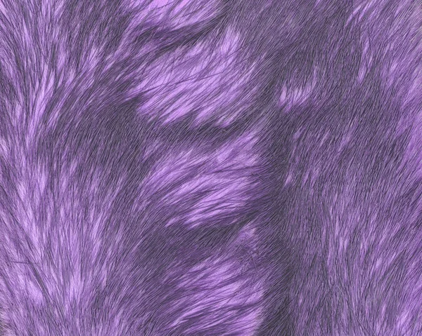 Painted violet natural fur texture. Useful for background — Stock Photo, Image