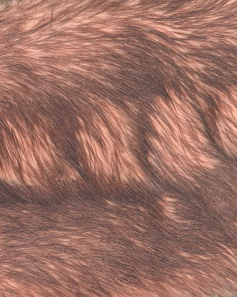 Reddish fox fur texture, usefui for background — Stock Photo, Image