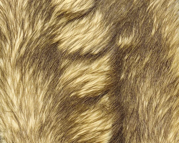 Бежевая текстура меха в качестве фона — стоковое фото