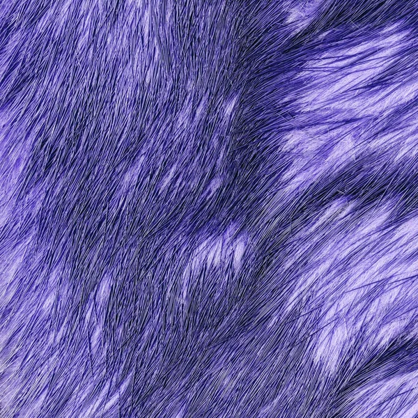 Окрашены фиолетовой лисицы текстуры меха в качестве фона Лицензионные Стоковые Изображения