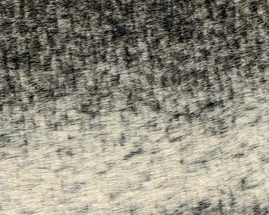 Beyaz-Siyah kısa saçlı kürk doku, arka plan olarak yararlı