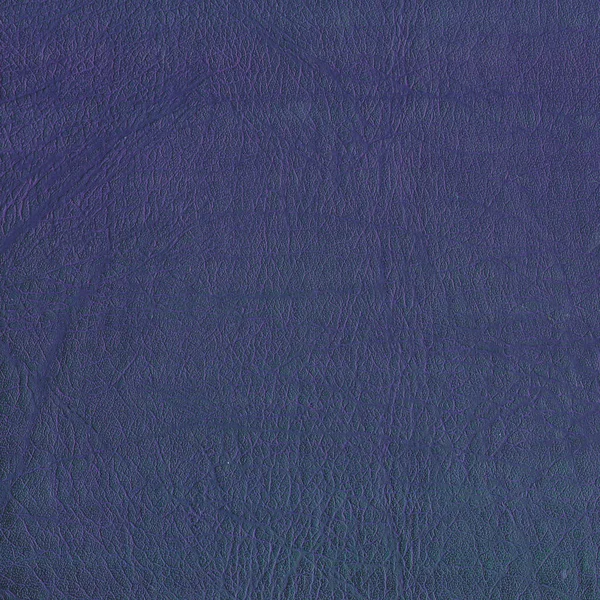 Ciemny niebieski skóra tekstura — Zdjęcie stockowe