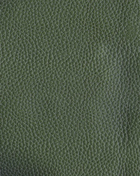 Textura de couro verde como fundo para design-works — Fotografia de Stock