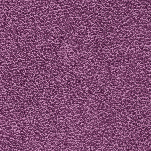 Violet Leder Texture Als Achtergrond Kan Worden Gebruikt Voor Ontwerp — Stockfoto