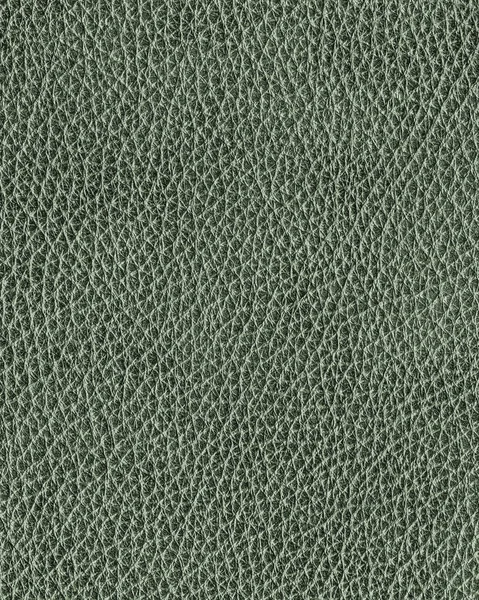 Green Leather Texture Closeup Background — Stock Photo, Image