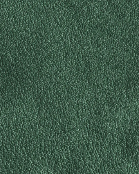 Textura de cuero verde como fondo — Foto de Stock