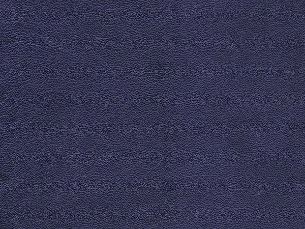 Mörk violett läder texture — Stockfoto