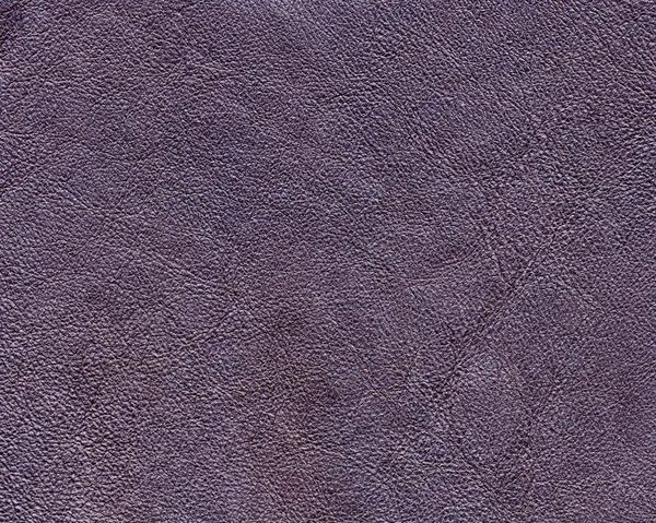 Grijs-violet leder achtergrond — Stockfoto