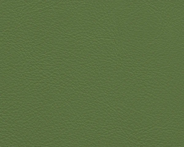 Zöld Bőr Textúra Háttér Tervezési Munkák — Stock Fotó