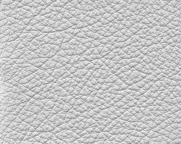 Textura Couro Branco Closeup Useful Como Fundo — Fotografia de Stock