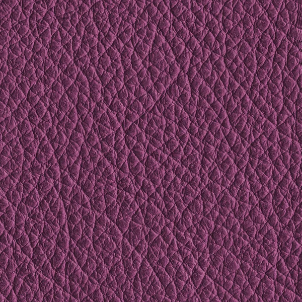 Textura Couro Violeta Closeup Useful Como Fundo — Fotografia de Stock