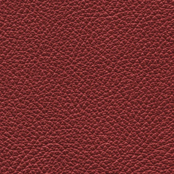 Textura de couro vermelho. Pode ser usado como fundo — Fotografia de Stock