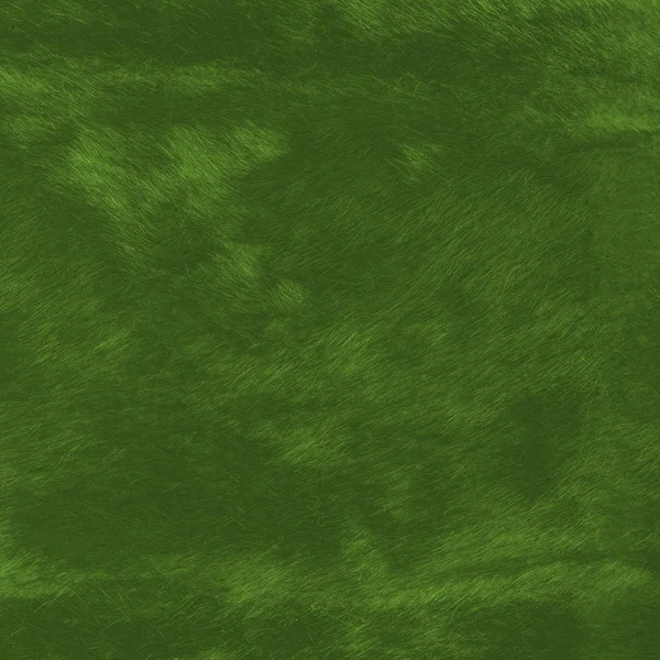 Yeşil kürk doku boyalı. Arka plan olarak yararlı — Stok fotoğraf