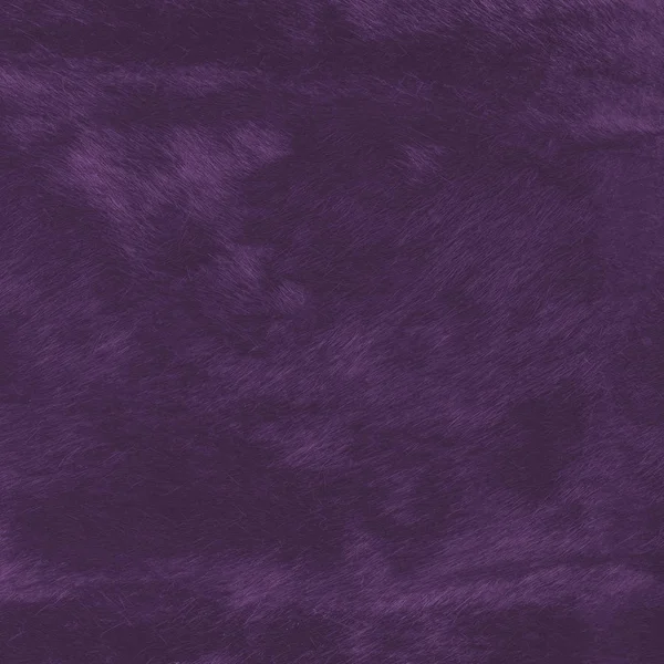 Окрашенная фиолетовая текстура натурального меха — стоковое фото