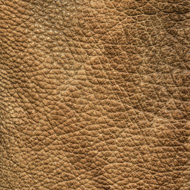 arka plan, tasarım-çalışmaları için yararlı olarak bej deri doku 