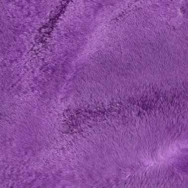 Menekşe mouton doku arka plan olarak boyalı. Tasarım çalışmaları için yararlı 