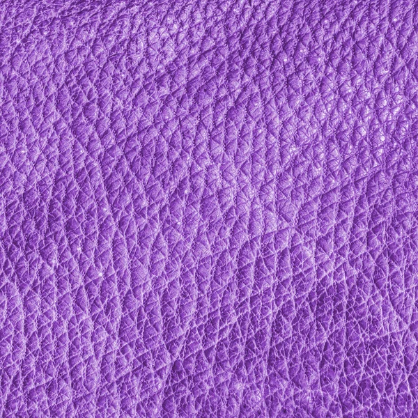 Texture Pelle Viola Come Sfondo Utile Lavori Design — Foto Stock