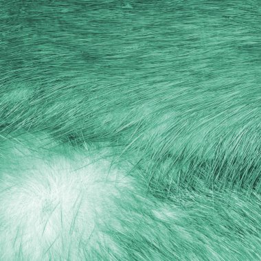 arka plan olarak yeşil doğal kürk doku boyalı