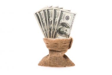 Doları banknot çanta içinde