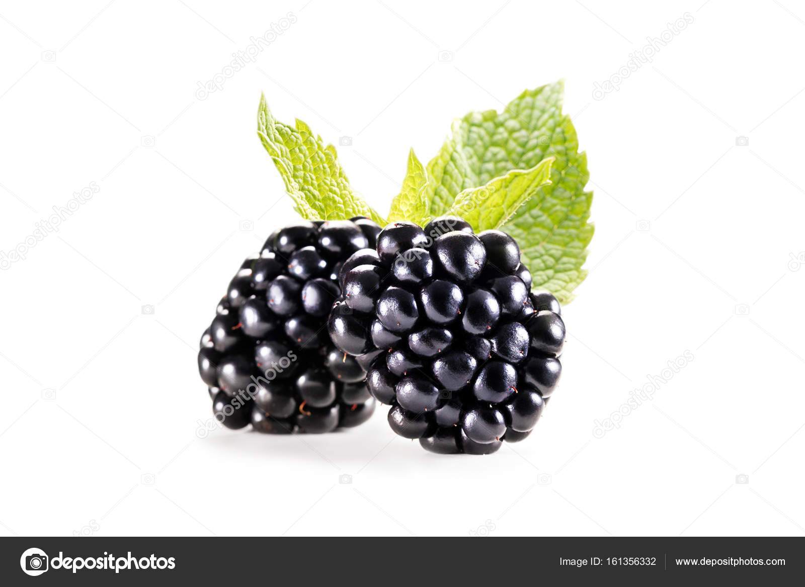 Blackberries with mint leaves — Stock Photo © VadimVasenin 161356332